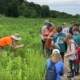 Bioblitz en Salteras