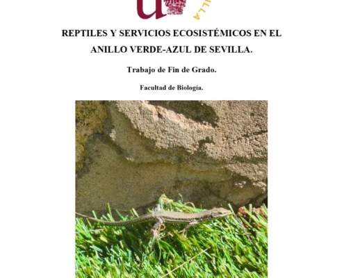 Reptiles y servicios ecosistémicos en el proyecto de anillo verde-azul de Sevilla Reptiles y servicios ecosistémicos en el proyecto de anillo verde-azul de Sevilla