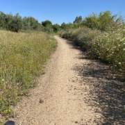 Los caminos, mejor con bordes vivos