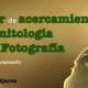 Taller: A la ornitología desde la fotografía