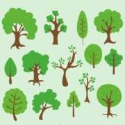 Plantas de árboles y arbustos gratis para los caminos y cañadas del Aljarafe