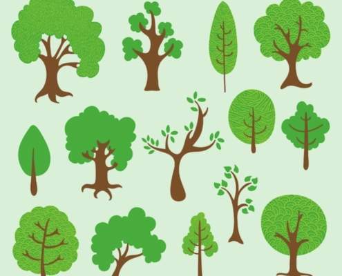 Plantas de árboles y arbustos gratis para los caminos y cañadas del Aljarafe