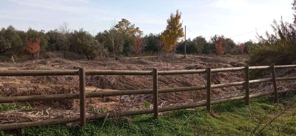 EXPECTACIÓN ANTE LAS NUEVAS ACTUACIONES DE LA CHG EN EL RIOPUDIO