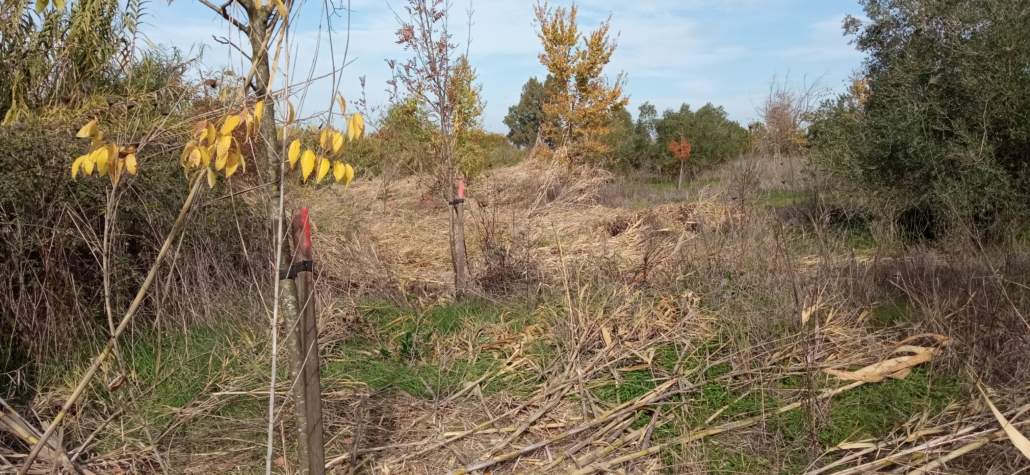 EXPECTACIÓN ANTE LAS NUEVAS ACTUACIONES DE LA CHG EN EL RIOPUDIO