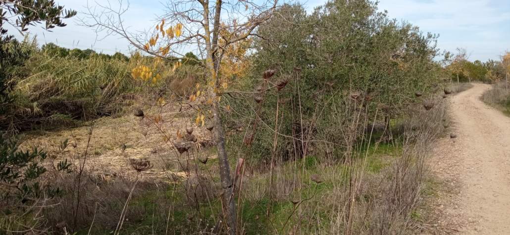 EXPECTACIÓN ANTE LAS NUEVAS ACTUACIONES DE LA CHG EN EL RIOPUDIO