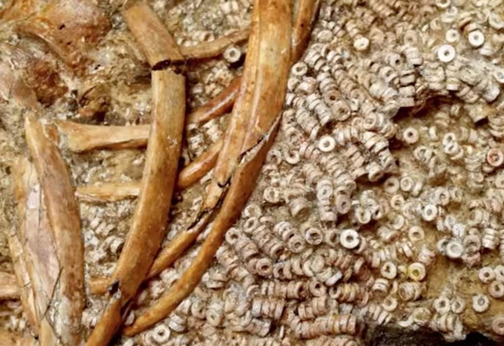 Proyecto "Mega-Sitio de Valencina": finalista del premio PALARQ