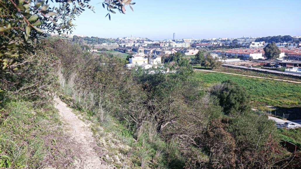 La cornisa este del Aljarafe incorporada al catálogo de montes públicos de Andalucía