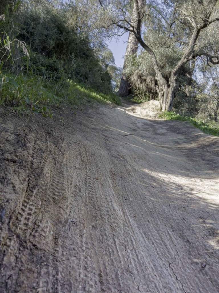 La cornisa este del Aljarafe incorporada al catálogo de montes públicos de Andalucía