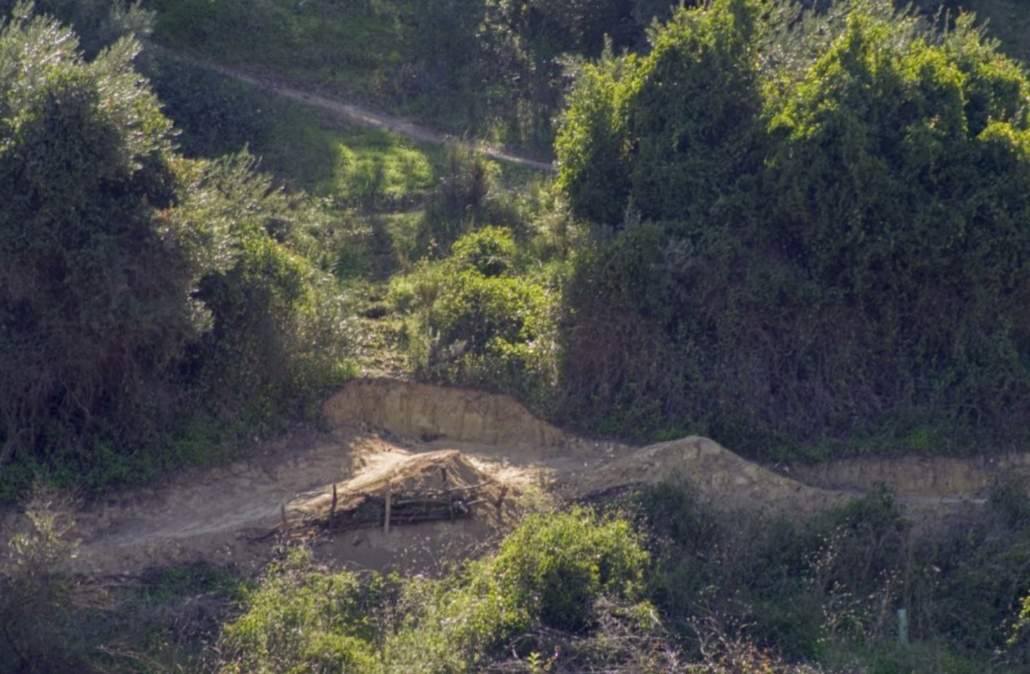 La cornisa este del Aljarafe incorporada al catálogo de montes públicos de Andalucía