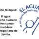 El agua: derecho humano y bien común en el área metropolitana