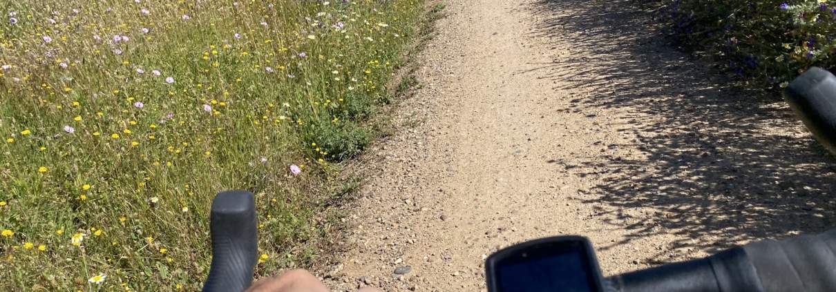 La Gerencia de Urbanismo de Sevilla ha sacado a licitación la elaboración del Plan Estratégico del Anillo Verde y Azul de Sevilla y