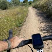 La Gerencia de Urbanismo de Sevilla ha sacado a licitación la elaboración del Plan Estratégico del Anillo Verde y Azul de Sevilla y La Gerencia de Urbanismo de Sevilla ha sacado a licitación la elaboración del Plan Estratégico del Anillo Verde y Azul de Sevilla y