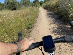 La Gerencia de Urbanismo de Sevilla ha sacado a licitación la elaboración del Plan Estratégico del Anillo Verde y Azul de Sevilla y