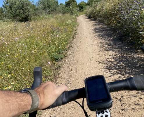 La Gerencia de Urbanismo de Sevilla ha sacado a licitación la elaboración del Plan Estratégico del Anillo Verde y Azul de Sevilla y