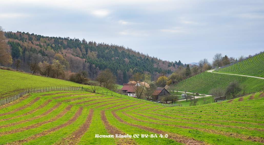 Una mierda para usted: más glifosato de lo esperado