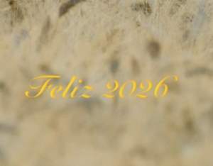 Nuestros buenos deseos para este año