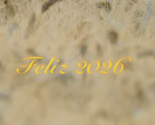 Nuestros buenos deseos para este año Nuestros buenos deseos para este año