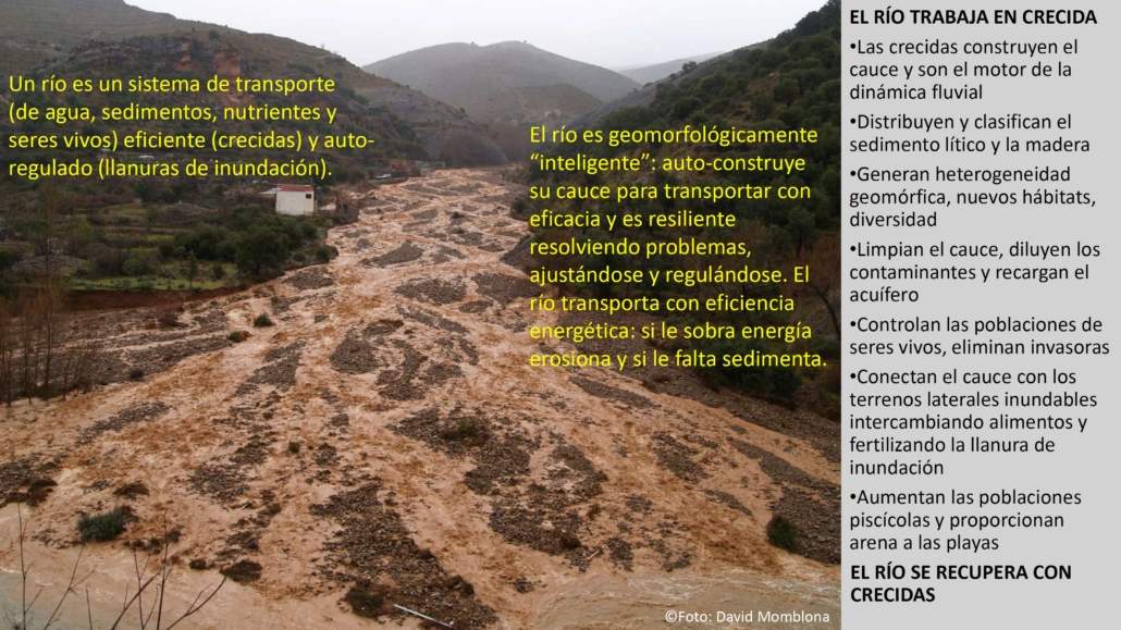 Presentación sobre los ríos como ecosistemas y gestión del territorio fluvial