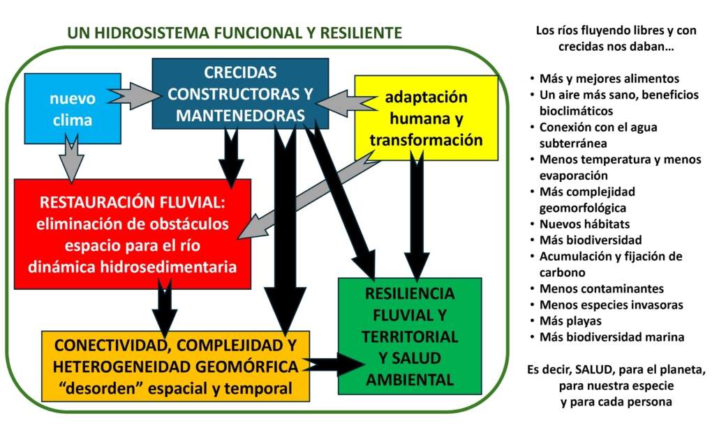 Presentación sobre los ríos como ecosistemas y gestión del territorio fluvial