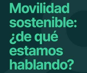 Documento: "movilidad sostenible ¿de que estamos hablando?"
