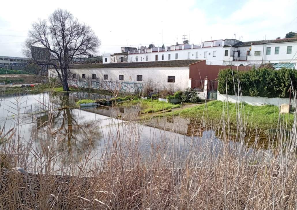Impactos hidrológicos del carril BUS VAO en Camas
