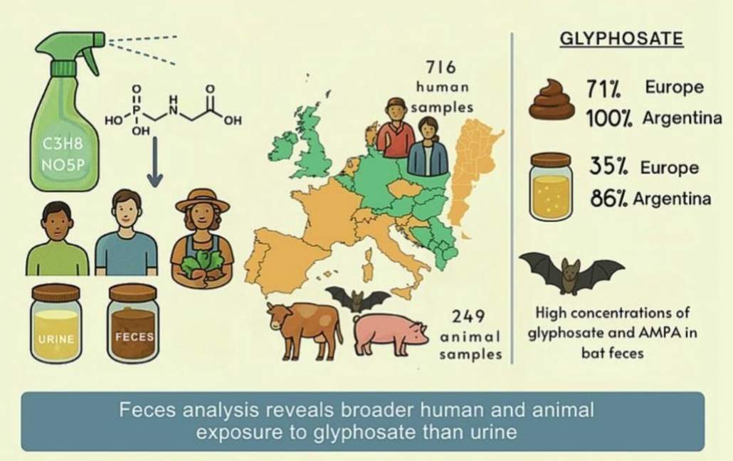 Una mierda para usted: más glifosato de lo esperado