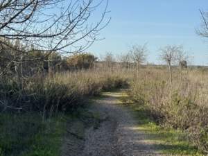 Este 2026 se cumplen diez años de la inauguración oficial del corredor verde del Riopudio Este 2026 se cumplen diez años de la inauguración oficial del corredor verde del Riopudio