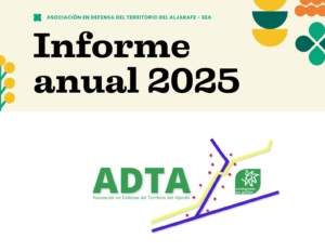 Resumen de nuestra actividad en 2025