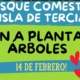 Plantar árboles en el bosque comestible Isla de Tercia