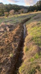 La Asociación Amigos de la Cornisa Este recibe el premio "SpongeBooster" del año La Asociación Amigos de la Cornisa Este recibe el premio "SpongeBooster" del año