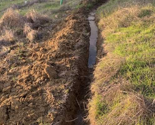 La Asociación Amigos de la Cornisa Este recibe el premio "SpongeBooster" del año La Asociación Amigos de la Cornisa Este recibe el premio "SpongeBooster" del año
