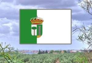 Campaña: CARRIL BICI en Bollullos de la Mitación Campaña: CARRIL BICI en Bollullos de la Mitación