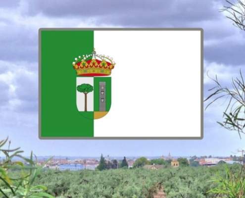 Campaña: CARRIL BICI en Bollullos de la Mitación Campaña: CARRIL BICI en Bollullos de la Mitación