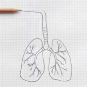 Primeros resultados de niveles de NO2 en centros educativos del Aljarafe