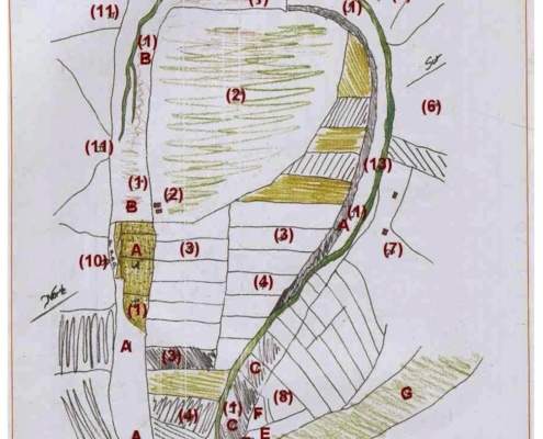 Las cortas en el Guadalquivir