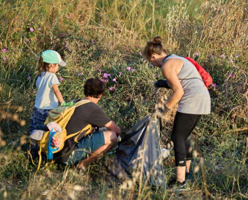 Imágenes de la actividad de limpieza de parques en Palomares del Río Imágenes de la actividad de limpieza de parques en Palomares del Río