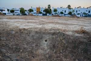 SOS Abejarucos en Palomares del Río: el último refugio en la calle Ugena, amenazado por movimientos de tierra