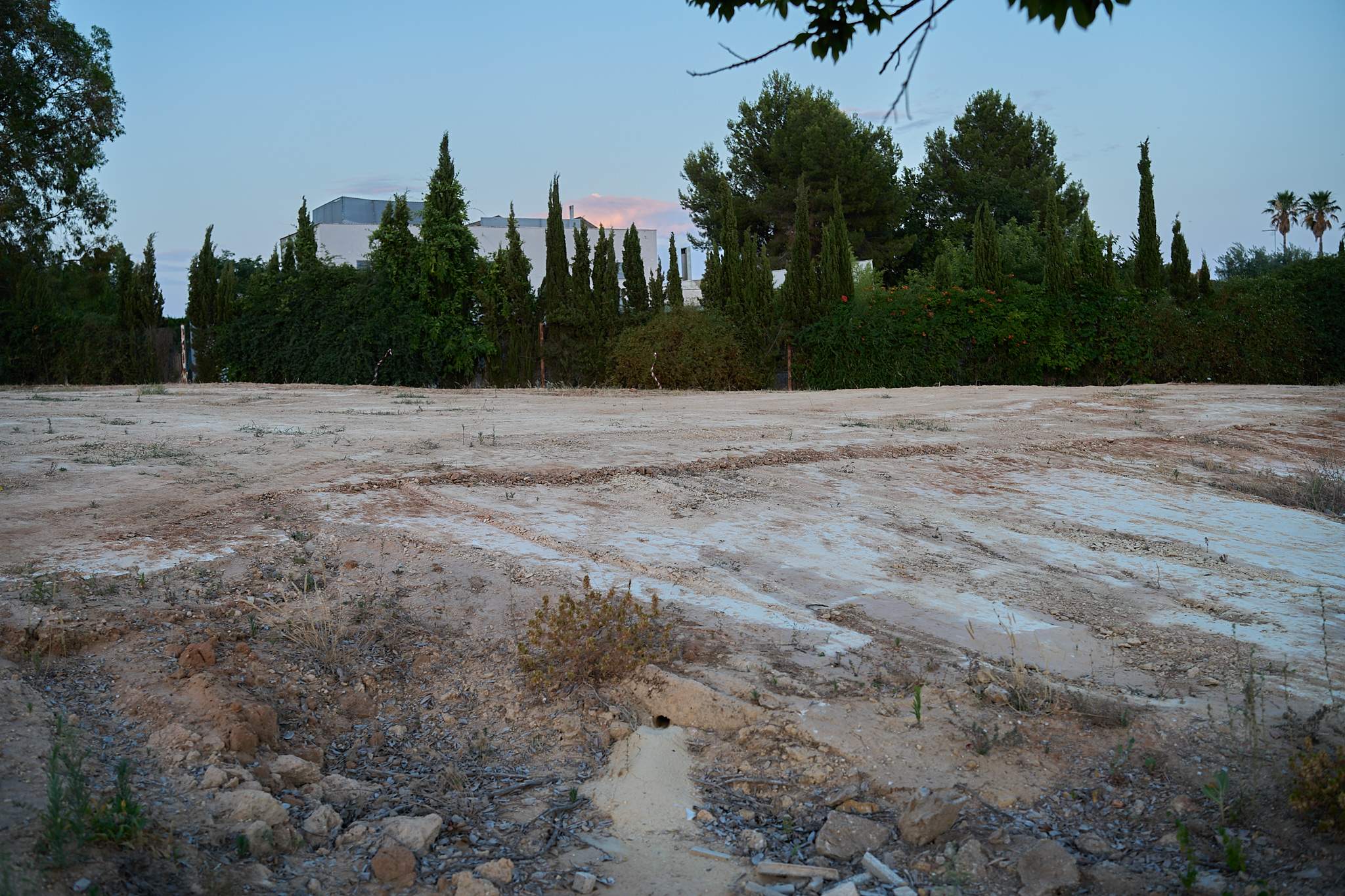 SOS Abejarucos en Palomares del Río: el último refugio en la calle Ugena, amenazado por movimientos de tierra