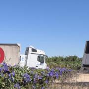 Palomares del Río: El Ayuntamiento sigue pendiente de desalojar la campa con camiones de POCOVI