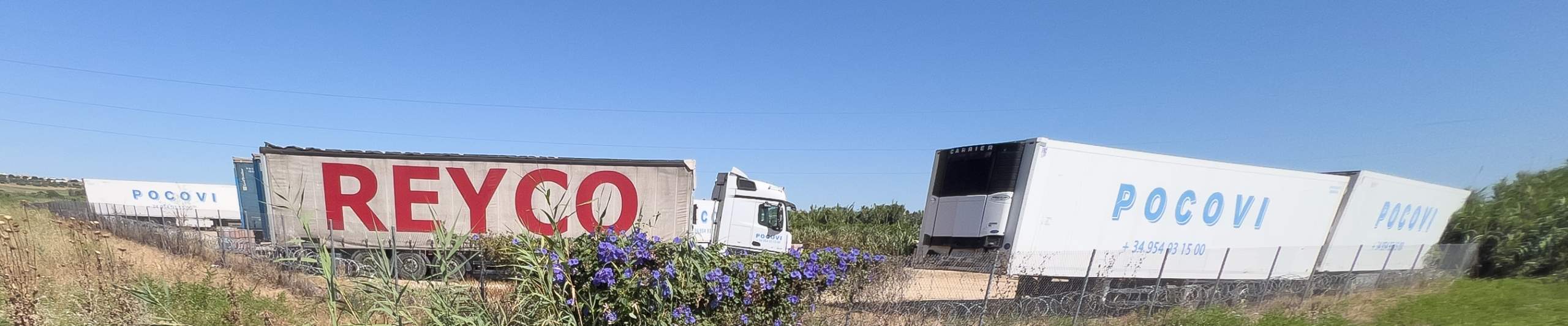 Palomares del Río: El Ayuntamiento sigue pendiente de desalojar la campa con camiones de POCOVI