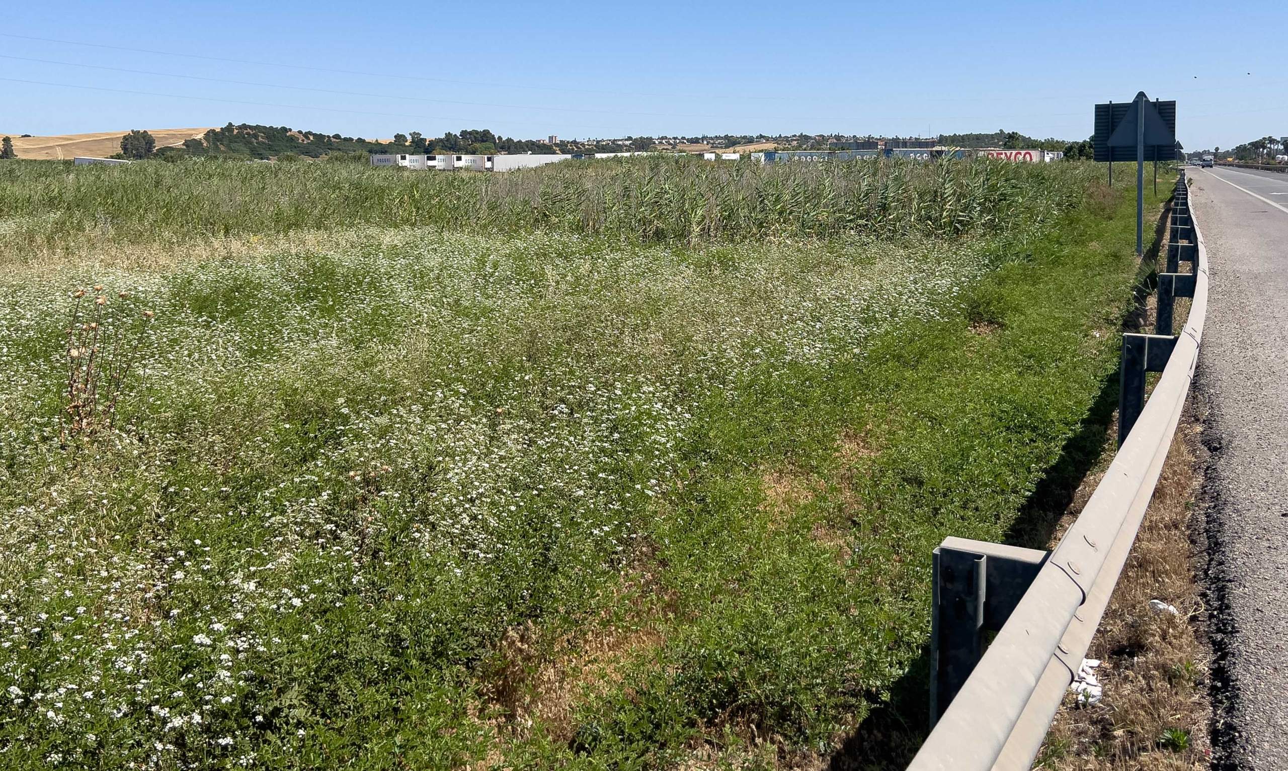 Palomares del Río: El Ayuntamiento sigue pendiente de desalojar la campa con camiones de POCOVI
