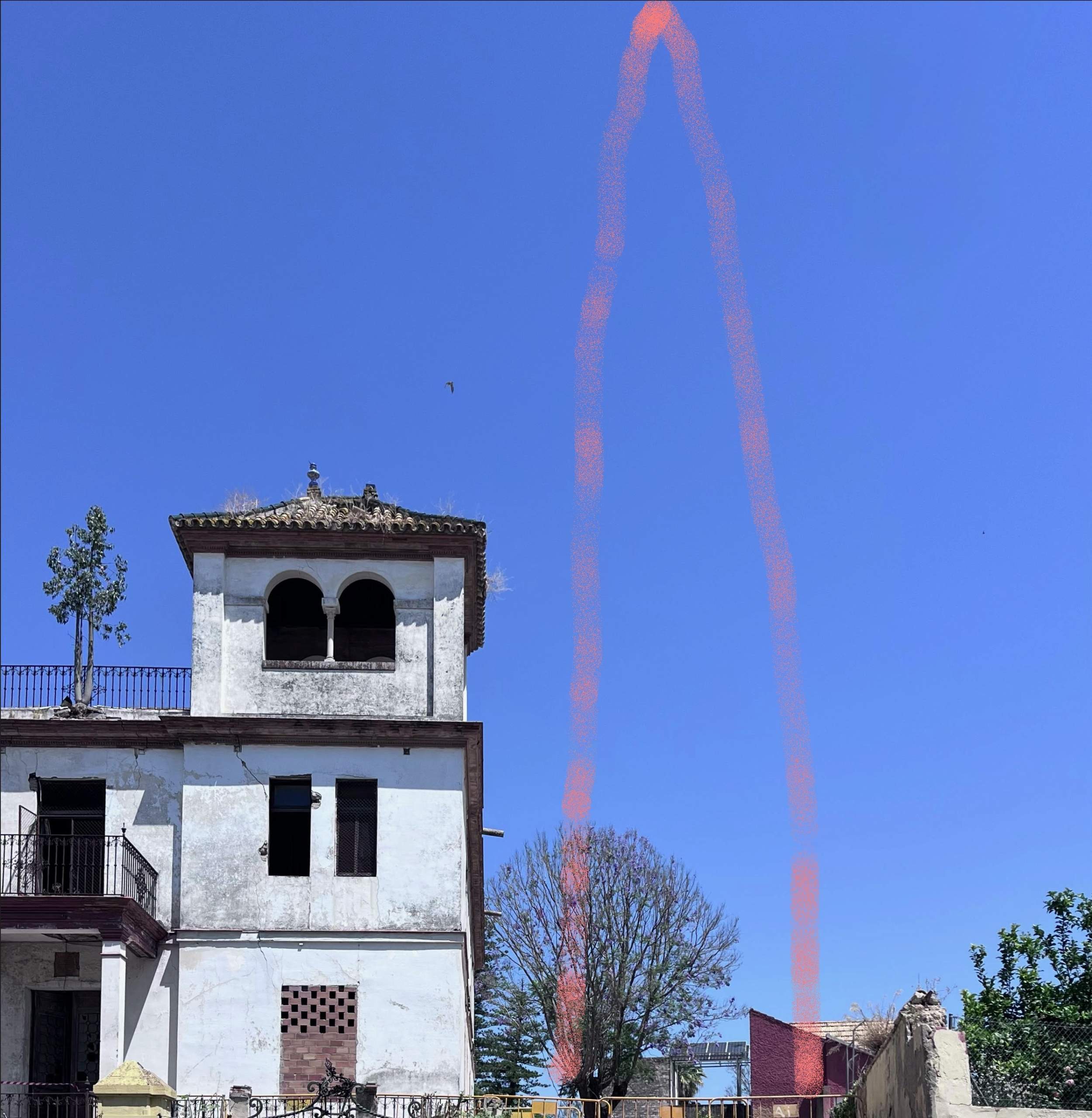El Ayuntamiento de Castilleja de la Cuesta ha culminado el arboricidio