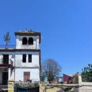 El Ayuntamiento de Castilleja de la Cuesta ha culminado el arboricidio El Ayuntamiento de Castilleja de la Cuesta ha culminado el arboricidio