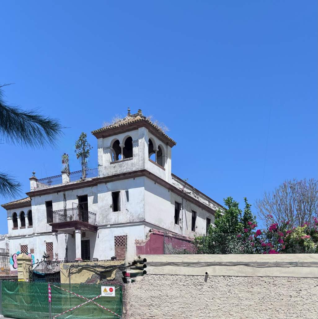 El Ayuntamiento de Castilleja de la Cuesta ha culminado el arboricidio