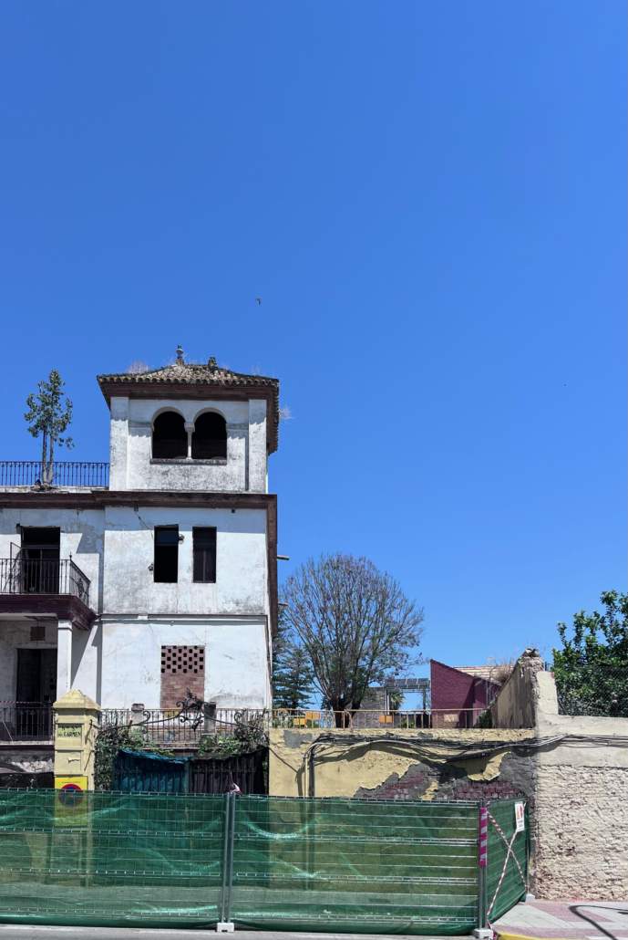 El Ayuntamiento de Castilleja de la Cuesta ha culminado el arboricidio