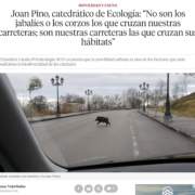 Movilidad no solo para los seres humanos Movilidad no solo para los seres humanos
