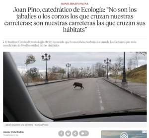 Movilidad no solo para los seres humanos