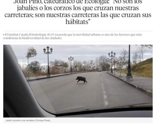 Movilidad no solo para los seres humanos Movilidad no solo para los seres humanos