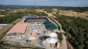 Una macrogranja (de gas, de placas, de cerdos...) es mucho más que una granja grande Una macrogranja (de gas, de placas, de cerdos...) es mucho más que una granja grande
