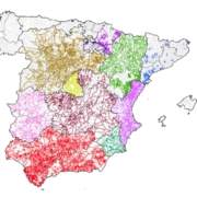 Asociaciones de toda España exigen la aprobación del Real Decreto que desarrolla la Red Nacional de Vías Pecuarias.